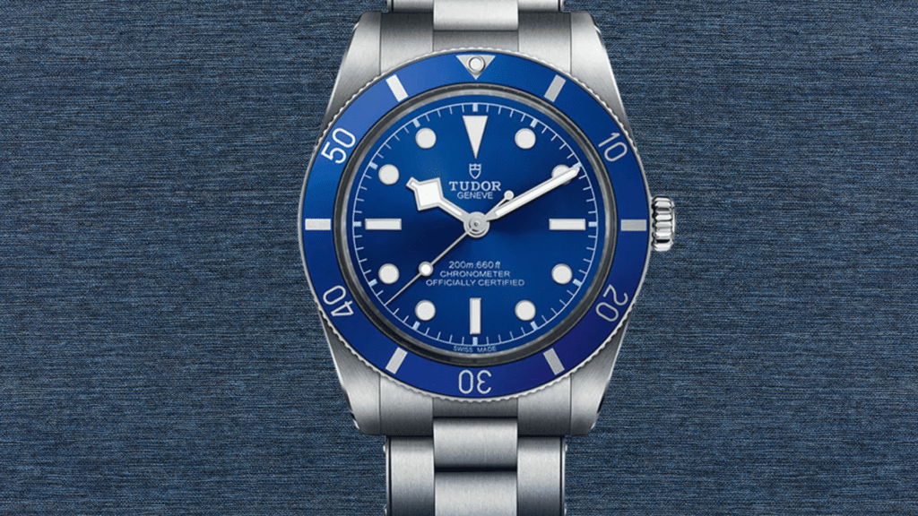 tudor black bay 54 blue 79000b (3)